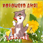 Открытка картинка хорошего дня с котиком