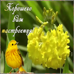 Картинка картинка хорошего настроения с птичкой