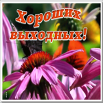 Картинка картинка хороших выходных с анимацией