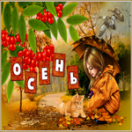 Открытка картинка красивой осени желаю