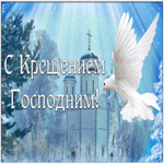 Открытка картинка крещение господне с голубем