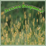 Открытка картинка легккого вторника