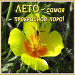 Картинка картинка лето - самая прекрасная пора