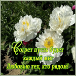 Картинка картинка любви и счастья