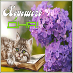 Картинка картинка очень хорошего дня