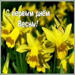Открытка картинка первый день весны с нарциссами
