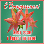 Открытка картинка плодотворного воскресенья