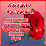 Картинка картинка прекрасного настроения с розой