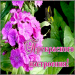 Открытка картинка прекрасного настроения с цветами