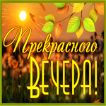 Picture добрый вечер