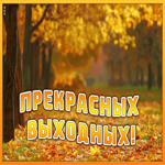 Открытка картинка прекрасных выходных с природой