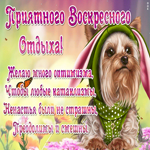 Картинка картинка приятного отдыха в воскресенье