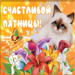 Картинка картинка приятной пятницы