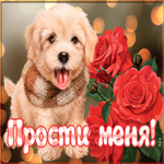 Картинка картинка прости с песиком