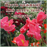 Postcard картинка пусть каждый миг несет тебе счастье
