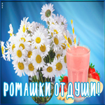 Картинка картинка ромашки от души