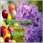 Postcard картинка с 1 мая с сиренью