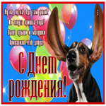 Postcard картинка с днем рождения, пусть привалит добро
