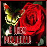 Postcard картинка с днем рождения женщине с великолепной розой