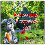 Картинка картинка с добрым утром хорошего дня