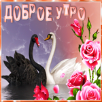 Картинка картинка с добрым утром ясного дня