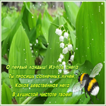 Картинка картинка с ландышами с надписью