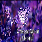 Открытка картинка с пожеланием спокойной ночи