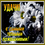 Postcard картинка с самыми теплыми пожеланиями на удачу