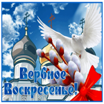 Открытка картинка с вербным воскресеньем с голубем