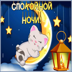 Picture картинка спокойной ночи со спящим котиком