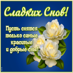 Открытка картинка спокойной ночи девочке