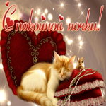 Картинка картинка спокойной ночи с котом