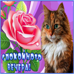 Открытка картинка уютного вечера