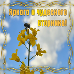Картинка картинка яркого вторника