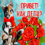 Открытка хорошая картинка привет