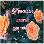 Открытка хорошая картинка с цветами