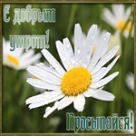 Открытка хорошая открытка с добрым утром