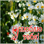 Открытка хорошая открытка я тебя люблю