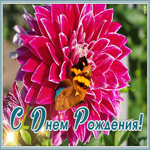 Картинка классная картинка с днем рождения женщине