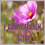 Открытка красивая картинка с наступлением лета