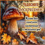 Postcard красивая открытка, осеннее воскресенье с покоем души