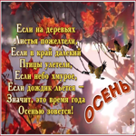 Открытка красивая открытка про осень с надписью