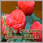 Картинка красивая открытка с днем рождения любимой жене