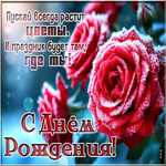 Picture красивая открытка, с тёплыми пожеланиями в день рождения