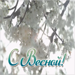 Открытка красивая открытка с весной