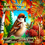Picture красноречивая гиф-открытка, как же хороша осень