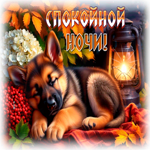 Picture красочная гиф-открытка, спокойной ночи