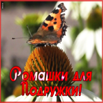 Открытка креативная открытка подруге