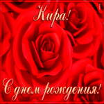 Postcard креативная открытка с днем рождения кира