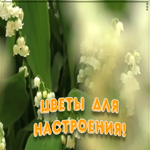 Открытка ландыши для настроения
